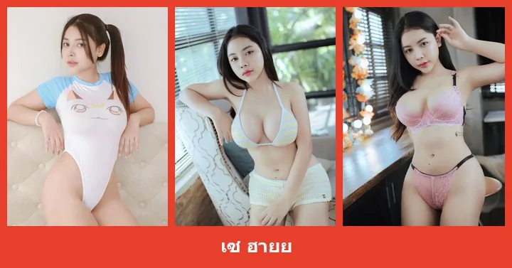 เปิดวาร์ป เซ ฮายย - heydodi